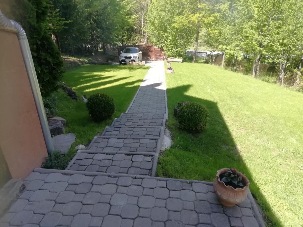 Demeny Vendeghaz Villa Sub Cetate ภายนอก รูปภาพ